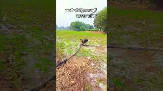 ना थके हैं पाँव कभी, ना ही हिम्मत हारी है 💪🔥 | Viral Motivation #motivation #shortvideo