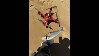 #catchoftheday #fishing #swellpro #3plus #dronefishing @subscribe #dosubscribe