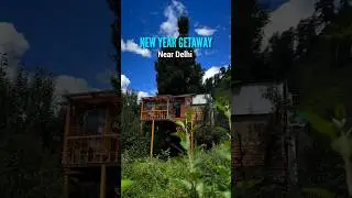 Resorts Near Delhi | Treehouse stay near Delhi | Resorts near delhi for couples | Kasol Treehouse
