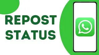 How to Repost Someone's Status on WhatsApp ?