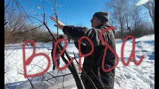 Настоятель и прихожане собирают вербы. 2025.03.16