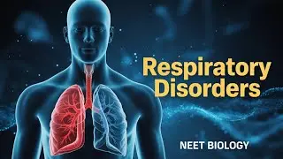 Human Physiology I  Breathing & Exchange Of Gases I Respiratory Disorders Explained | NEET I NCERT