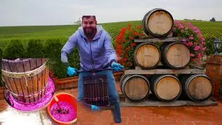 🙋🏻‍♂️AM DAT LA TEASC MERLOTUL🍇*Al Doilea VLOG SPECIAL* Ce a ieșit??💁🏻‍♂️