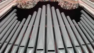 Niccol&ograve; Moretti, Sonata X ad uso sinfonia, played by Luca Scandali (live recording)