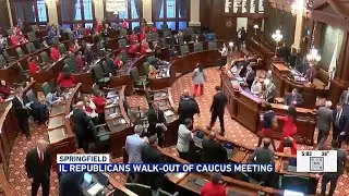 IL Republicans walk-out of session in response to pushback by Democrats on Trump&rsquo;s agenda