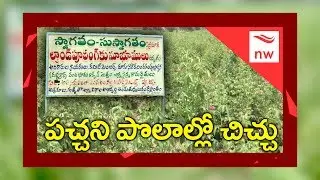 Penumaka Farmers Protest Against Land Acquisition By AP Govt  | New Waves