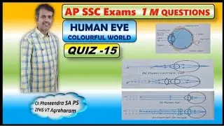 Human Eye Colourful World.                           AP SSC Exams 1M Questions Quiz-15