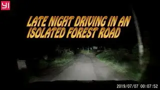 Late Night Driving In An Isolated Forest Road