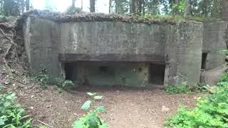 Hürtgenwald Historischer Westwall Tour.Nationalpark Eifel Explore alten Bunker