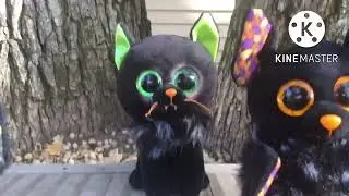 Beanie boo music video: This is Halloween