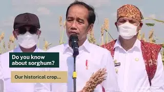 MEALK Indonesia