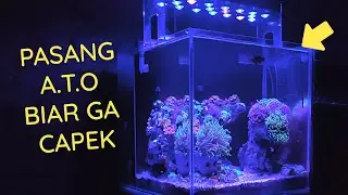 Nano Reef Tank: Pasang Auto Top Up Aquarium (No Skimmer)