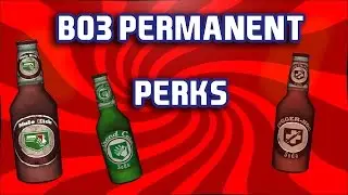 BO3 ZOMBIES PERMANENT PERKS