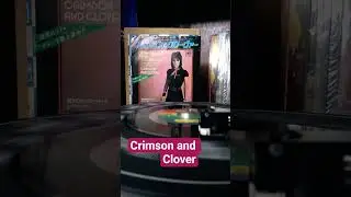 Joan Jett & The Blackhearts /Crimson and Clover (1982)#80smusic #americanrock