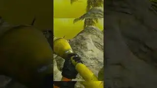 Z LEAGUE Riot Shield Clutch (Call of Duty Warzone Season 4 Reloaded)