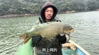 渔民生活实拍下网捕鱼 # #鱼获满满