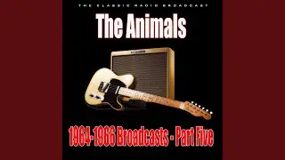 One Monkey Don't Stop No Show (Live)