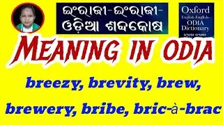 breezy, brevity, brew, brewery, bribe, bric-&agrave;-brac Meaning In Odia / Class 12th English Grammar Odia