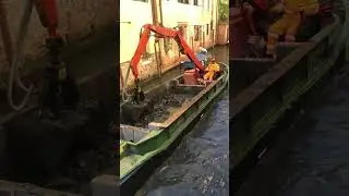 How clean the canals in Venice