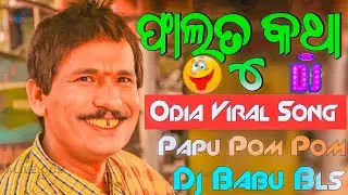 Faltu Katha Song Dj | Sambalpuri Dj Song Odia Dj Song | Dj Babu Bls