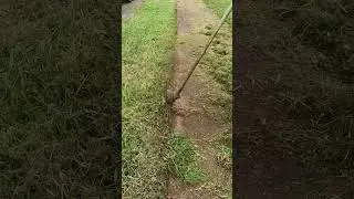 Clearing Up A Footpath