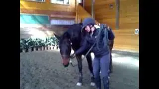 Maplebrook Cracker Jack 2012