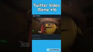 Twitter Video Meme #16