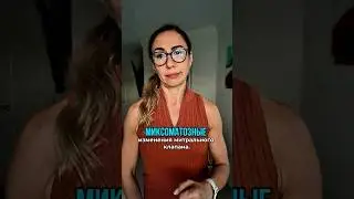 Миксоматозные изменения МИТРАЛЬНОГО КЛАНА 🫀
