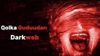 Waxyaabaha ugu layaabka badan ee ka dhaca qolka guduudan