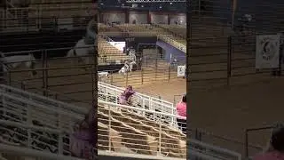 she was ready #fypシ #barrelracing #apha #nbha