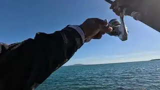 Pesca de fondo y spinning en aguas del este de Puerto Rico
