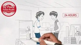 Promotional Animated Videos Produced by Exa I Pallets Brisbane | Toms Pallets Queensland