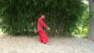 Les 13 postures du Yangjia Michuan Taiji Quan, Shi San Shi  十 三 勢