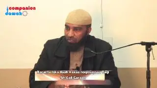 iska ilaali Xaaranta waxaa noqonaysaa Taqi