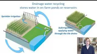 Drainage Water Recycling for Crop Yield and Nutrient Reduction Benefits