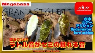 【水中動画】【GRAND SIGLETT】ラトルサウンドがセミって想像できますか？　メガバス　パガーニ　グランドシグレ　ぐらんどしぐれ