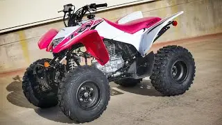 New 2023 Honda TRX250X Sport ATV / Quad | Walkaround + Exhaust Sound