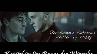 Drarry Fanfiction Kapitel 23 Im Raum der Wünsche   Der andere Patronus