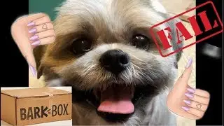 December 2019 Bark Box Unboxing