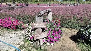แนะนำสถานที่ท่องเที่ยว ส่งงานครู