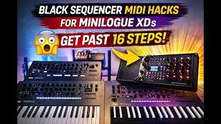 Black Sequencer MIDI Setup for Minilogue XD (Beyond 16 Steps) // Tutorial & Audio Demo