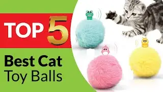 Top 5 Best Cat Toy Balls in 2026 [Buying Guide]
