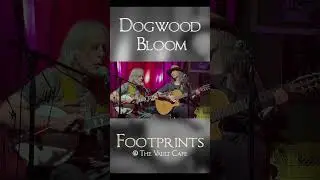 Footprints (Live at The Vault) #musicduo #musicartist #acousticguitar #banjo #thevault #nanaimo