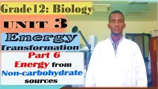 Grade 12 Biology Unit 3 (Part 6)፡  Energy from Non carbohydrate sources @yeshanehtube