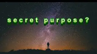 If There's A Purpose?