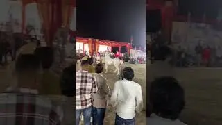 Horse Show indore 2026