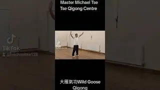 大雁氣功Wild Goose Qigong #calm #qigong #relaxation #health #circulation #healing #meditation #exercise