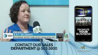 Bahamas National Trust On Sharks
