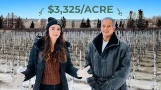 Как это фермерское хозяйство приносит доход в северной части штата Нью-Йорк