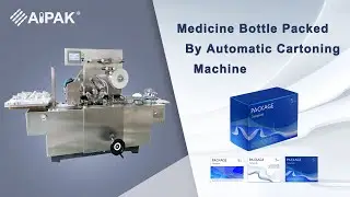 What is the working principle of WZP-450 high-speed cartoning machine?